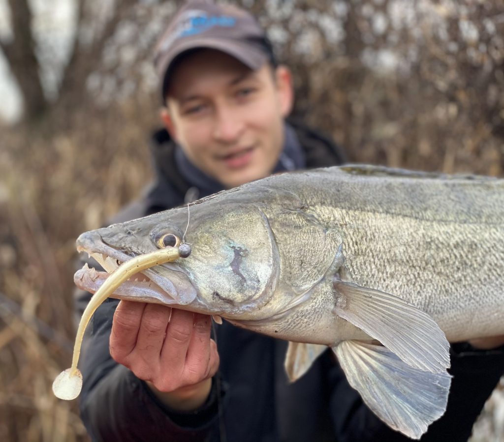 Riečny rytier, ktorý neodolal nástrahe Shirasu Z SHAD v dĺžke 12,5cm